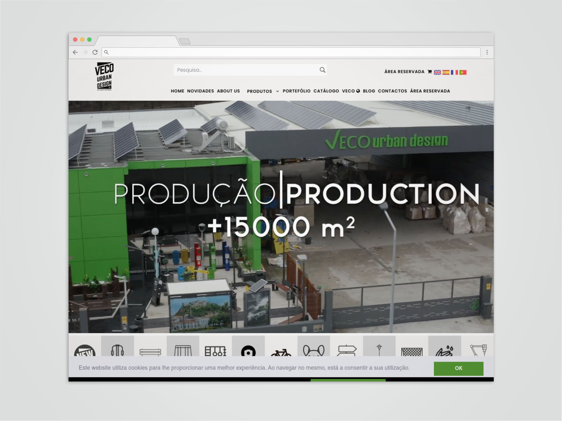 Web development